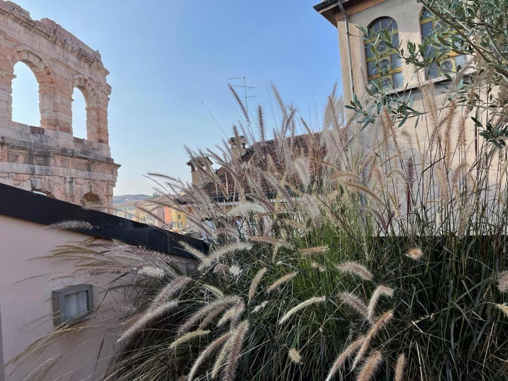 La Terrazza Sull'Arena Verona Exterior foto