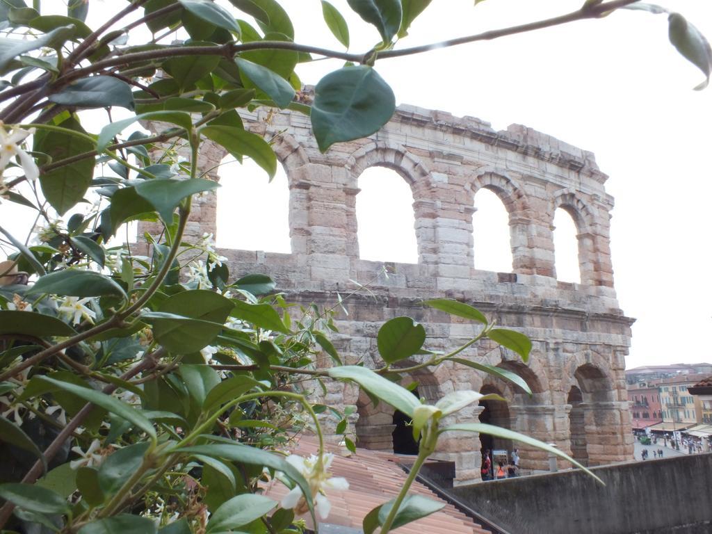 La Terrazza Sull'Arena Verona Quarto foto